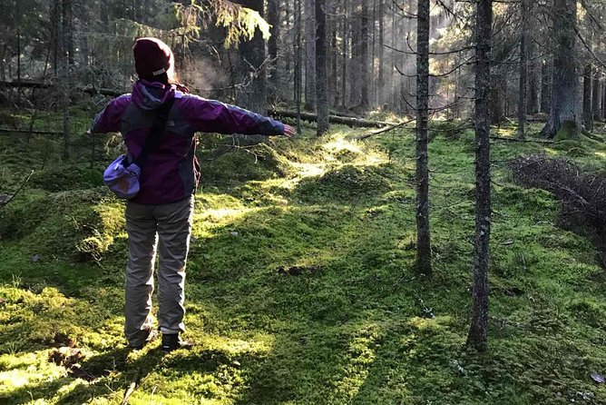 Hiking tour in Nuuksio National Park with meal and snacks - Key points to know before you go
