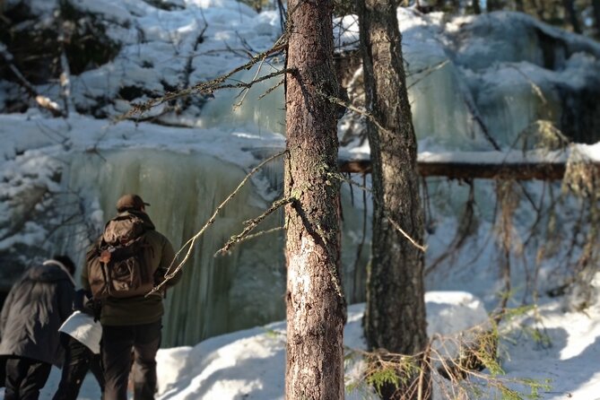 Hiking tour in Nuuksio National Park with meal and snacks - How difficult is the 5-kilometer route?