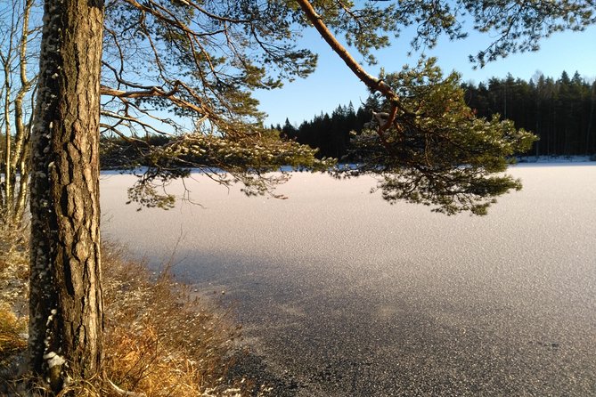 Hiking tour in Nuuksio National Park with meal and snacks - What the $113.72 price really covers