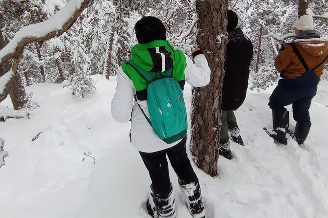 Hiking tour in Nuuksio National Park with meal and snacks - Seasonal differences you should plan for