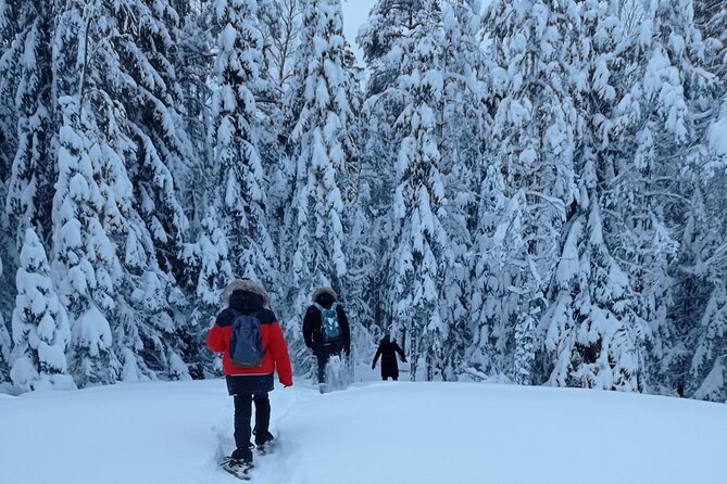 Hiking tour in Nuuksio National Park with meal and snacks - David’s natural history lesson