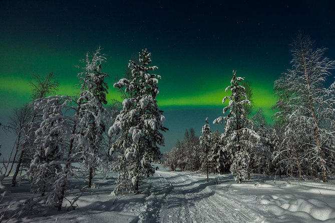 Hunting Northern Lights with Husky - Guides can make or break the night