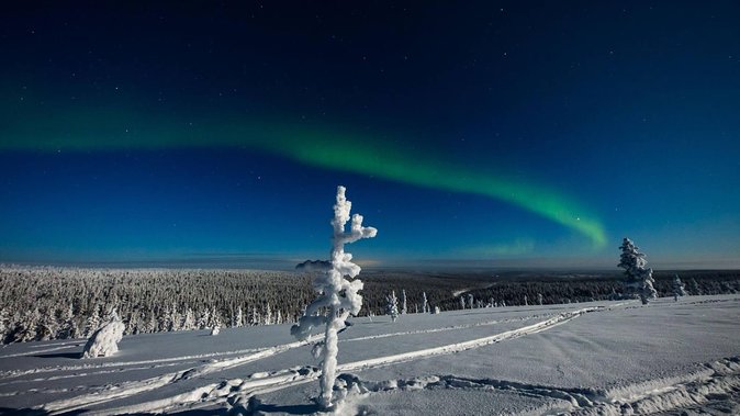 Hunting Northern Lights with Husky - Cold-weather planning for children and adults