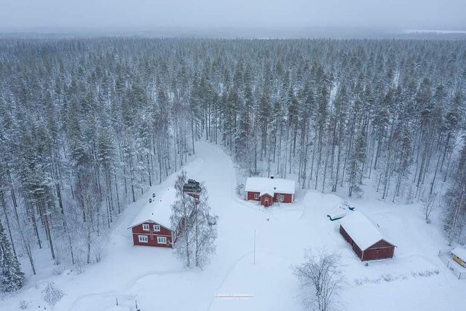 Husky safari - Reaching Old Pine Husky Lodge at 10:00 am