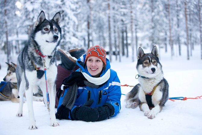 Husky Safari from Rovaniemi Including a Husky Sled Ride - Key points to know before booking