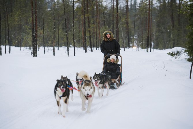 Husky Safari from Rovaniemi Including a Husky Sled Ride - What this Rovaniemi husky safari actually offers
