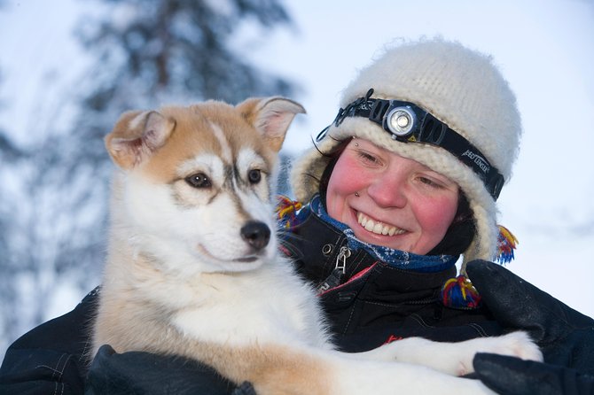 Husky Safari from Rovaniemi Including a Husky Sled Ride - Meeting the huskies before the sled ride