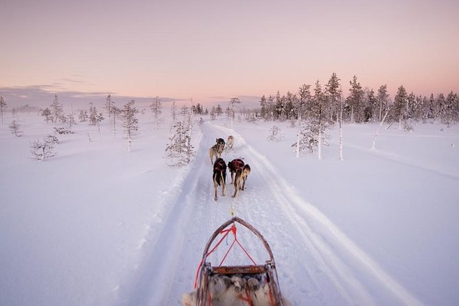 Ice Fishing and Husky - Key points to know before booking