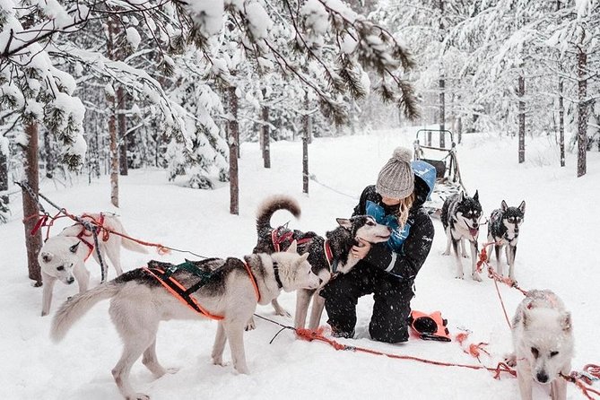 Ice Fishing and Husky - What the four-and-a-half-hour day is really like