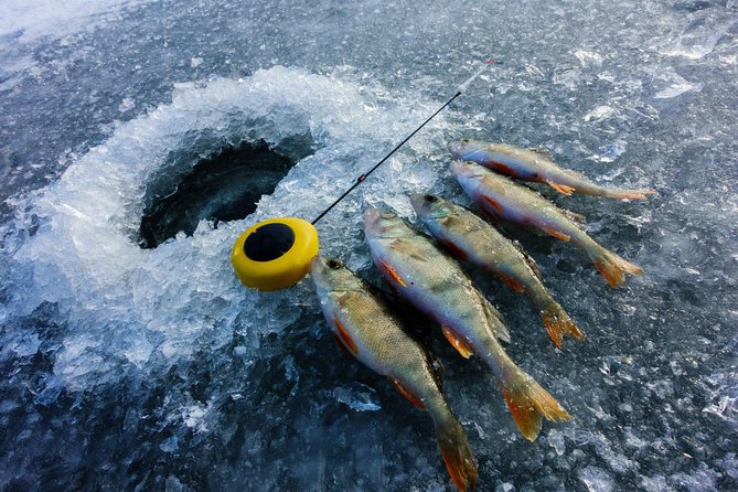 Ice Fishing and Husky - Salmon by the fire, fish or no fish