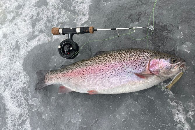 ICE FISHING experience - One hour of fishing, waiting, and winter silence