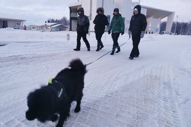 Icetrek to Old Kemi - What you learn about the Finnish wood industry