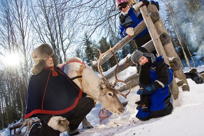 In Pursuit of Reindeer - Snowmobile safari to reindeer farm in Rovaniemi - Key details before you book