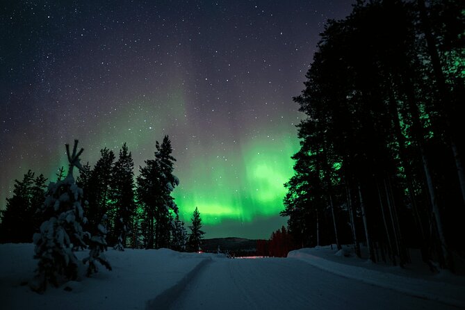 Ivalo: Aurora Hunting with Reindeer - What This Ivalo Evening Is Really About