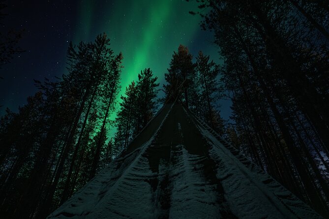 Ivalo: Aurora Hunting with Reindeer - Waiting for the Northern Lights