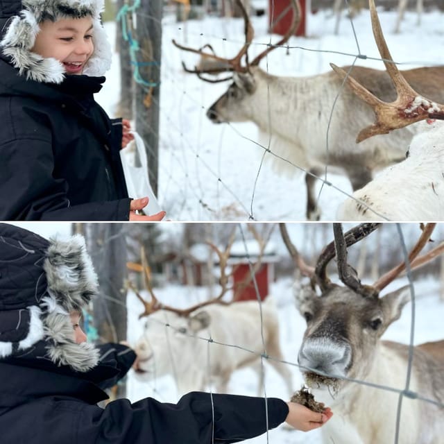 Ivalo: Ice Fishing Tour to Lake Inari, Reindeers & Lunch - Is $194 per person fair?
