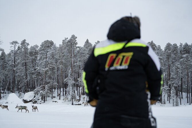 Ivalo: Reindeer herd and fishing experience - An 8 a.m. start from Ivalo