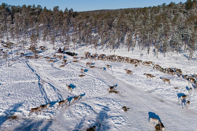 Ivalo: Reindeer herd and fishing experience - Trying traditional fishing on a nearby lake