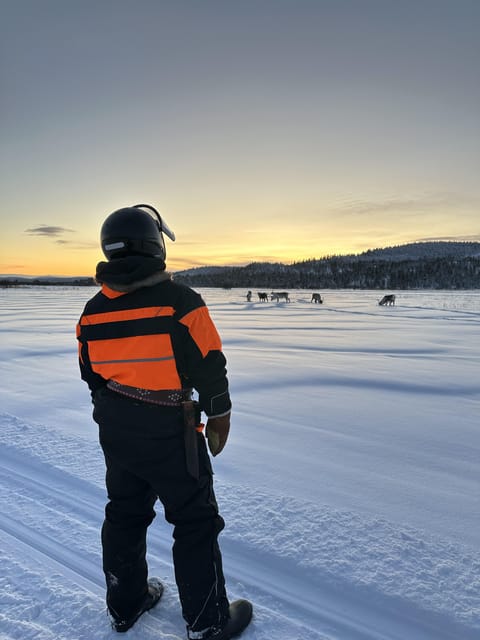 Ivalo: Snowmobile Safari, Meet and Feed Reindeers with Lunch - Why the small group changes the day