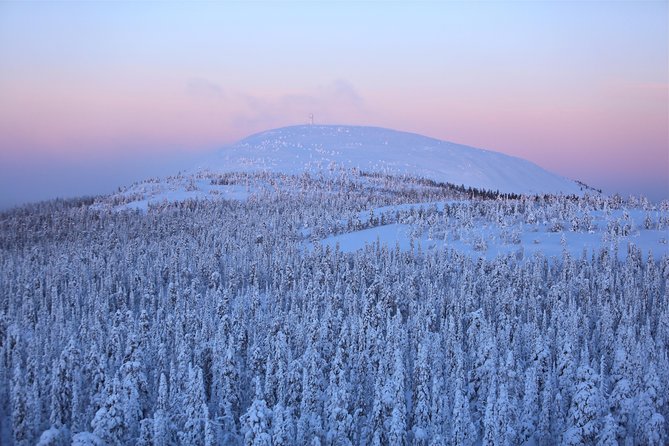 Jewels Of Lapland: Visit to Amethyst Mine in Luosto - Guides, group size, and the pace of the day