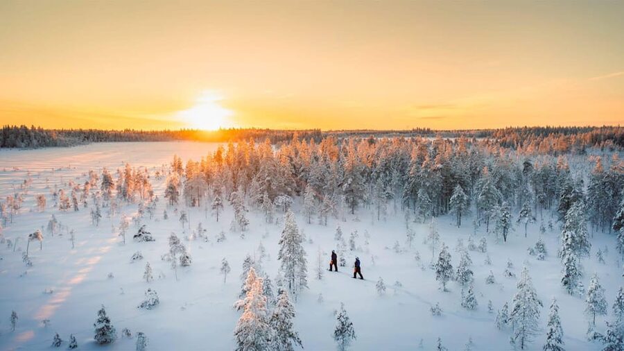 Kemi-Tornio: Nature tour with snowshoes - Getting the Right Feel for Snowshoes