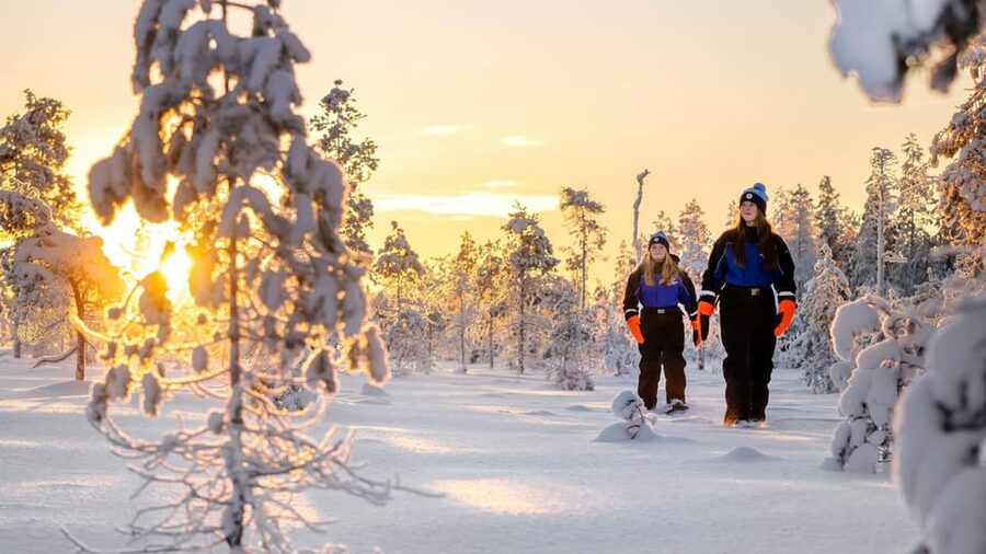 Kemi-Tornio: Nature tour with snowshoes - Watching for Wildlife in the Snowy Forest