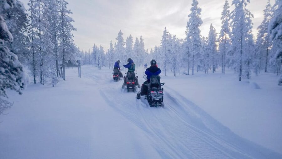 Kemi-Tornio: Snowmobile Forest Safari w/ Hot Drink & Snacks - Key points at a glance