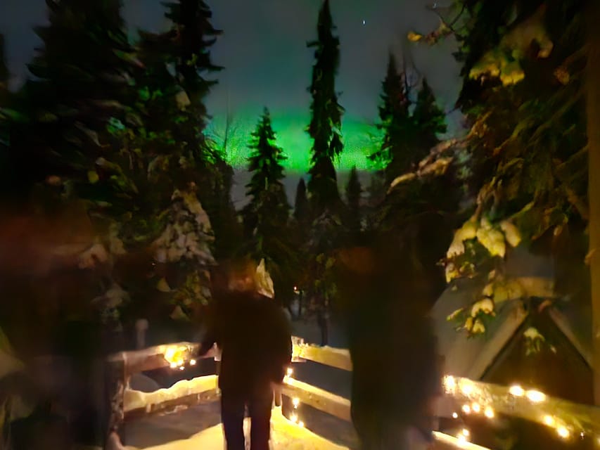 Kemi-Tornio: Starguaranteed Northern Lights Auroras - What the reviews reveal about the guiding