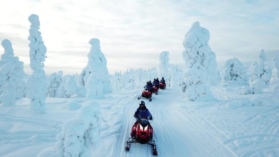 King of Ylläs: Snowmobiling to the Hill - Through snowy forest and open marsh