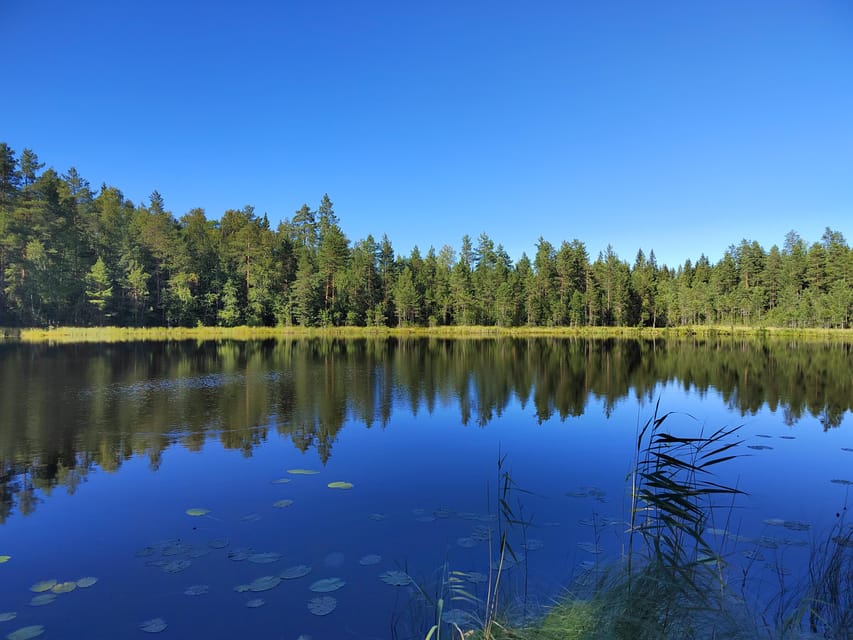 Kintulammi Nature Experience (Nature reserve near Tampere) - Choosing a Walk That Fits Your Energy