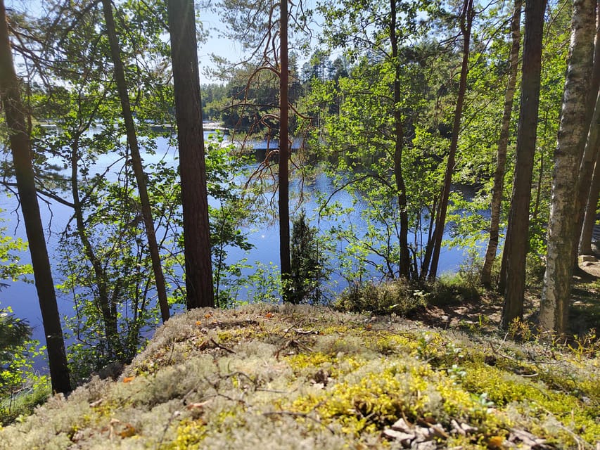 Kintulammi Nature Experience (Nature reserve near Tampere) - Learning the Forest With Patrick