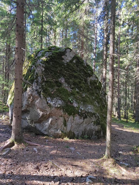Kintulammi Nature Experience (Nature reserve near Tampere) - Lunch at the Kota Shelter