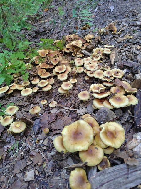 Kintulammi Nature Experience (Nature reserve near Tampere) - What the $106 Price Really Covers