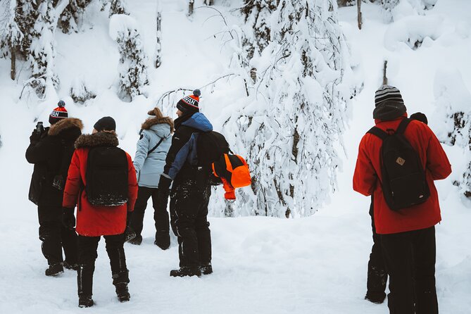 Korouoma Canyon Frozen Waterfalls - A Finnish campfire beside the trail