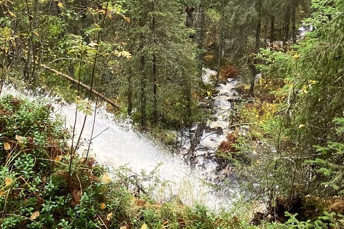 Korouoma Canyon: Frozen Waterfalls Hike & BBQ Experience - A Finnish grill snack beside the fire