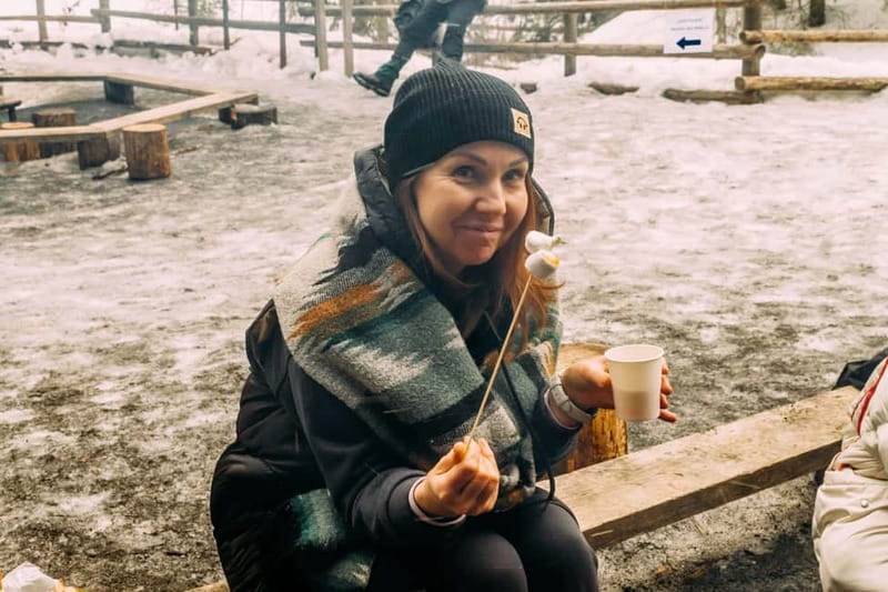 Korouoma Canyon: Frozen Waterfalls Hike & BBQ Experience - What the guide adds to the walk