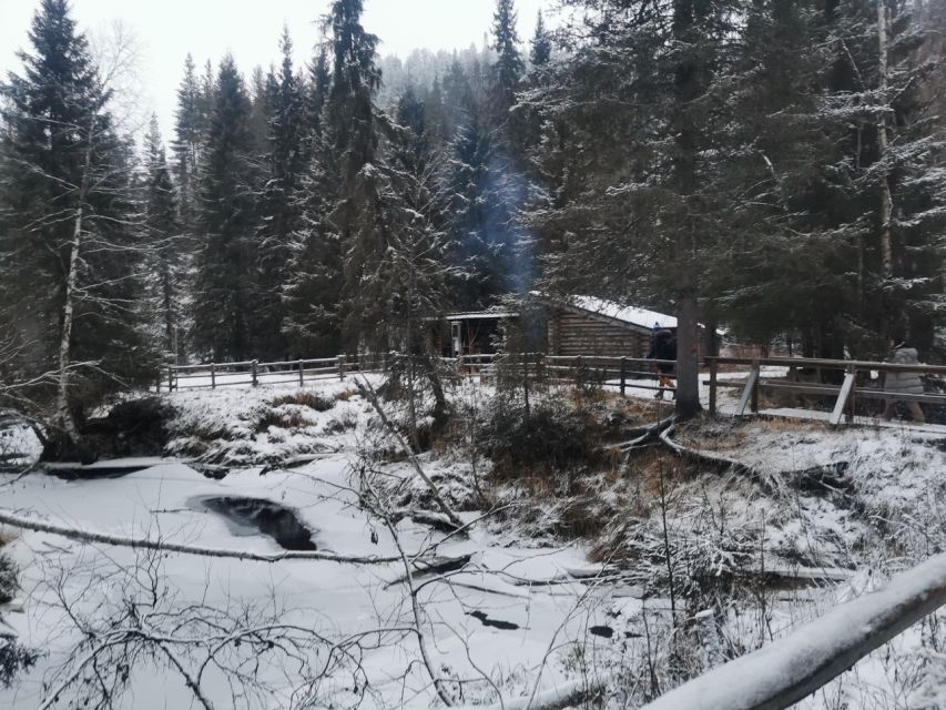 Korouoma Canyon Frozen Waterfalls Hike & Private Teepee BBQ - Key points to know before booking
