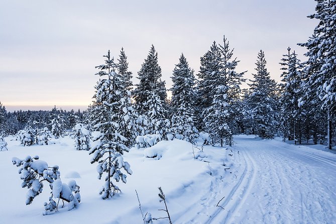 Korouoma Canyon Snowshoe Trip - Who should book this Korouoma trip