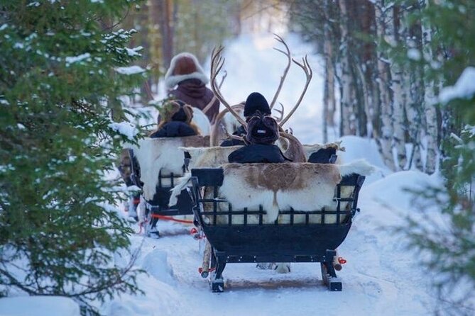 Kuoksa Reindeer Farm Visit with a Short Sleigh Ride - Why a reindeer farm visit matters in Lapland