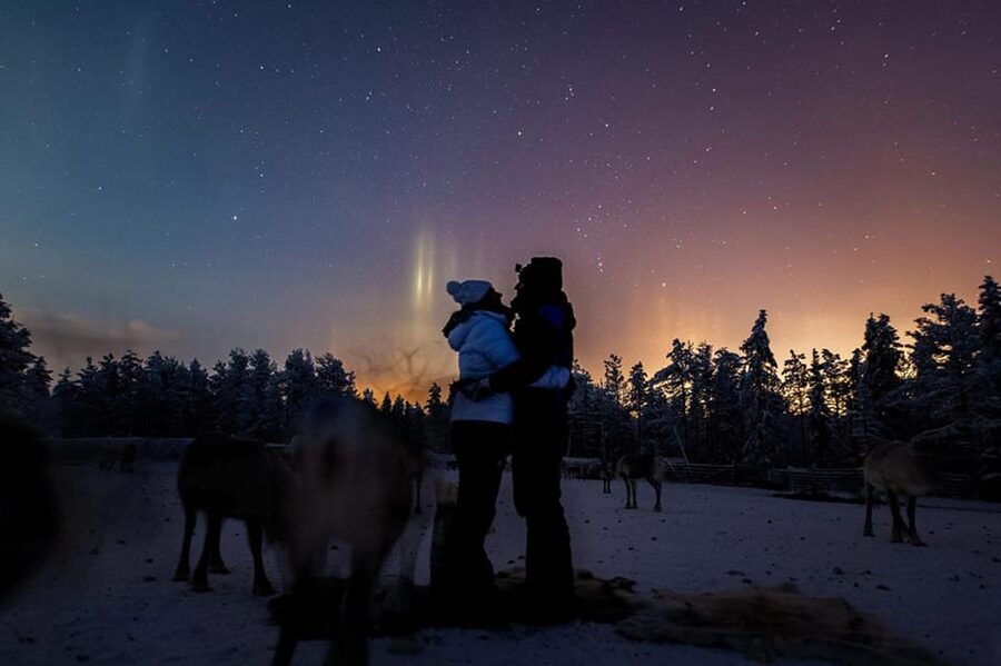 Kuusamo: Reindeer Farm Visit - Key points to know before you go