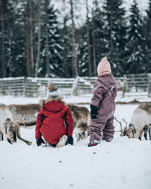 Kuusamo: Reindeer Farm Visit - Should you book the Kujala Reindeer Farm visit?