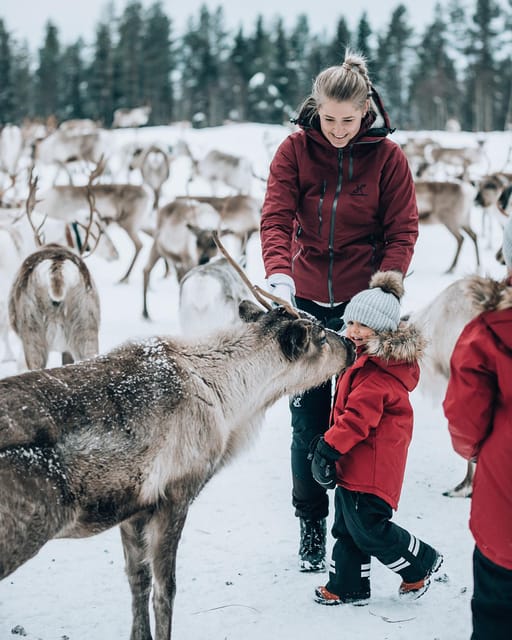 Kuusamo: Reindeer Sleigh Ride and Farm Visit - Guides, families, and the feel of the visit
