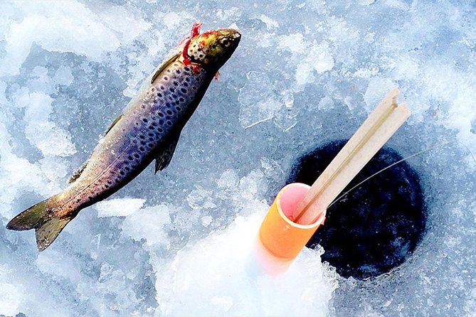 Lakeside Sauna Trip with Ice Fishing and Ice Swimming - Guides can make the difference