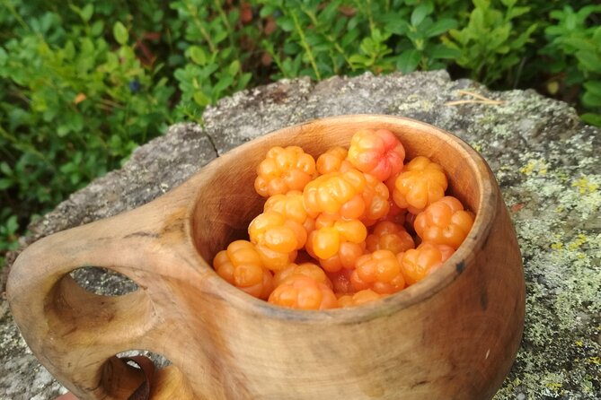 Lapland Berry Day Experience - Leaving Rovaniemi for the Berry Grounds