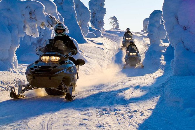 Lapland Family Snowmobile Safari from Rovaniemi - The main snowmobile ride