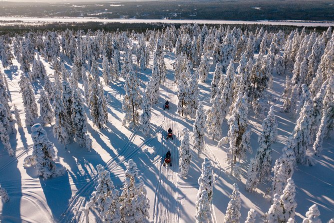 Lapland Family Snowmobile Safari from Rovaniemi - From Rovaniemi to the snowy woods