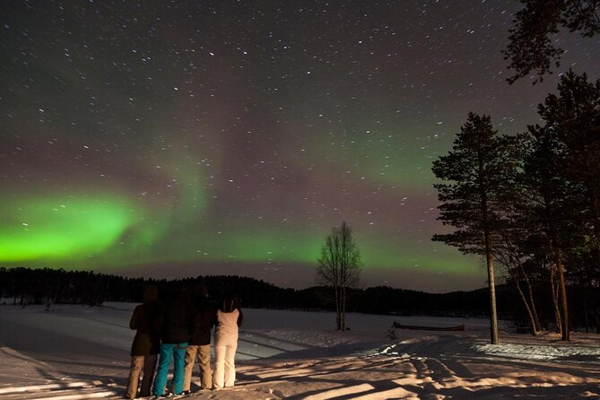 Lapland Husky Safari from Saariselkä - Why this Saariselkä husky ride feels different