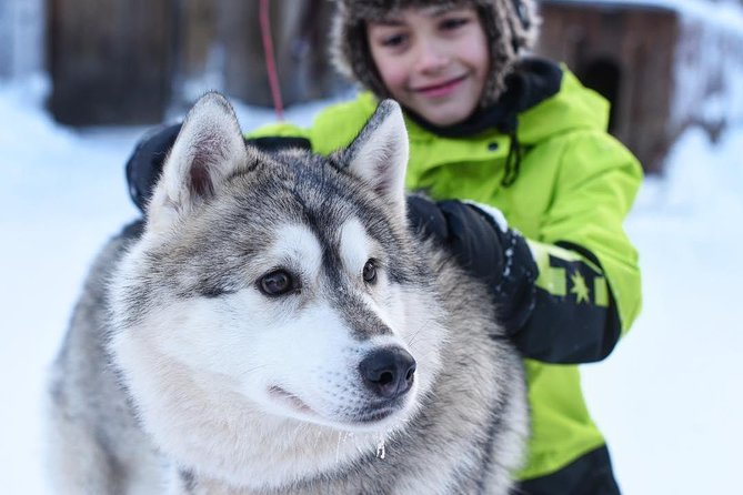 Lapland Husky Safari from Saariselkä - Learning the sled before the dogs run