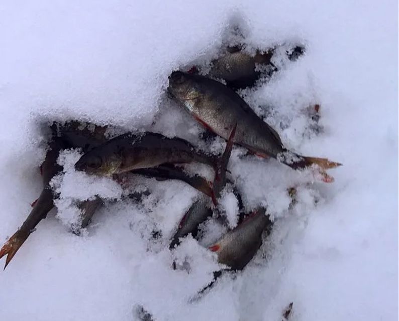 Lapland: Ice Fishing, Floating & BBQ Snow Adventure - Floating in a frozen lake