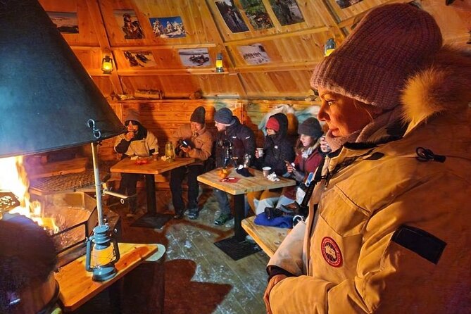 Lapland In A Day - Reindeer, Sledding, Snowmobile & Nature - Meeting reindeer in the snowy forest